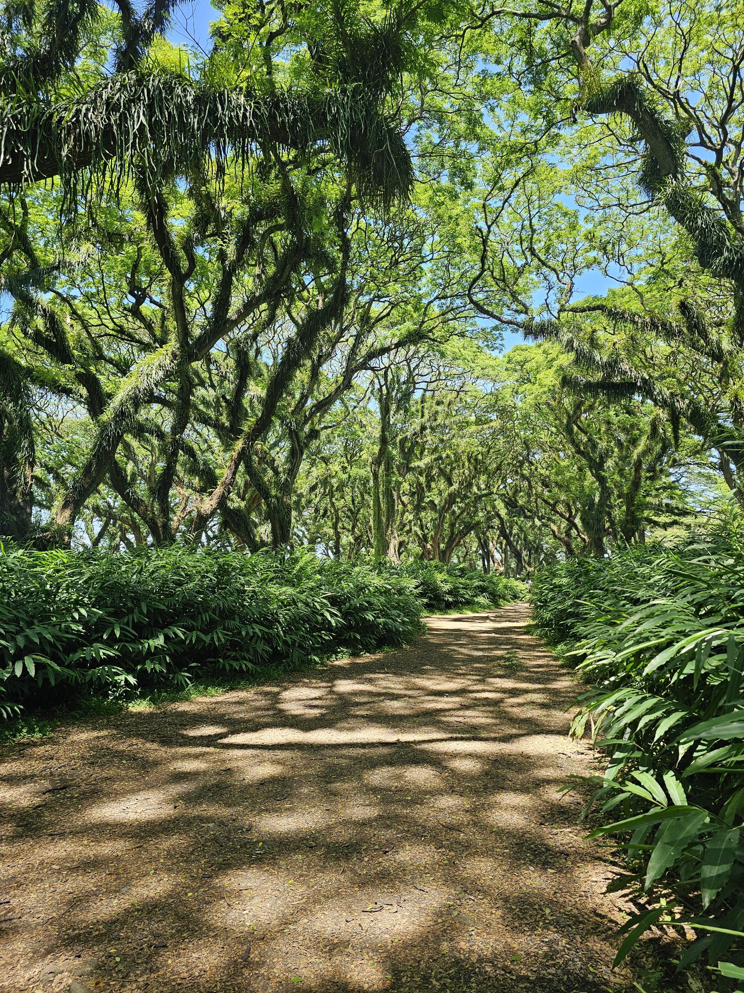 20250922_1219091844420479365783022